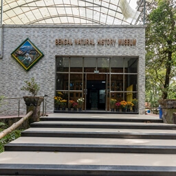 Bengalisches Naturkundemuseum 