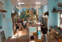 申巴加努尔博物馆（Shenbaganur Museum）