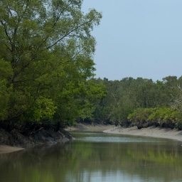 Parc National de Sundarbans