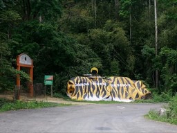 Dampa Tiger Reserve, Mamit District