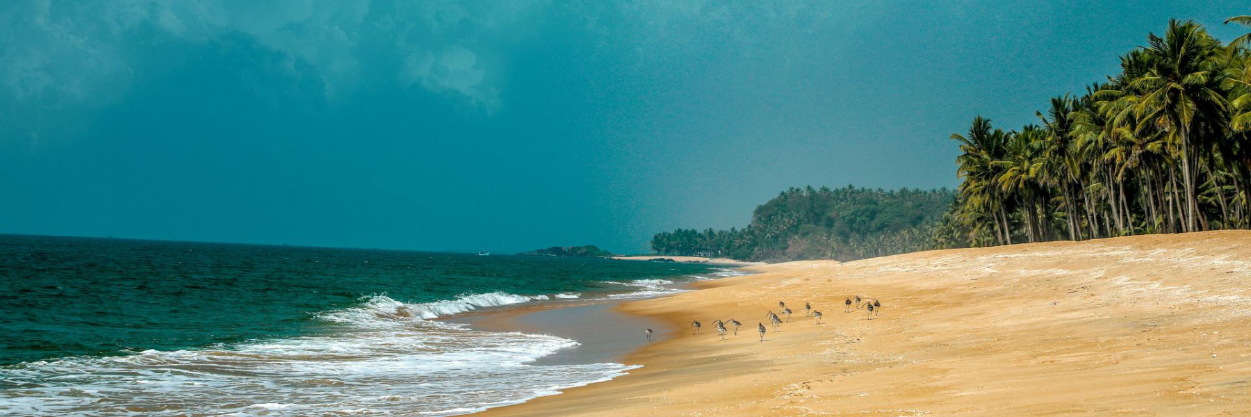 Kappil Beach | Thacheesheritagestay