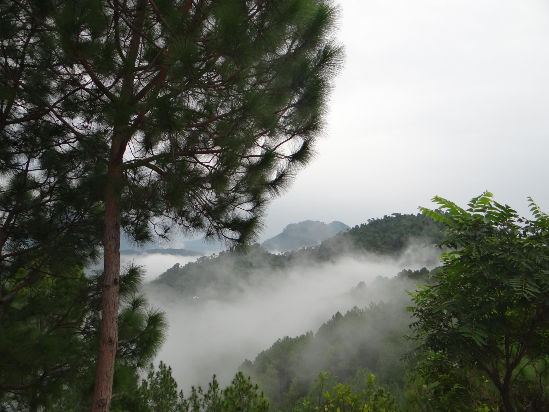 Chail, Himachal Pradesh | Subhash Mathur | Flickr