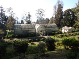 ロイド植物園