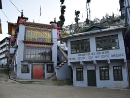 チベット難民自助センター