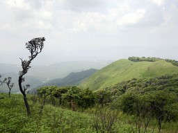 Sirohi National Park