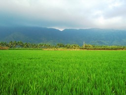 Nagercoil