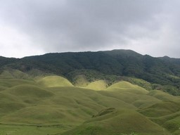 Dzukou Valley