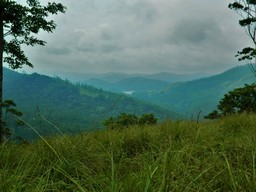 Periyar Wildlife Sanctuary