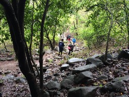 Karnala Bird Sanctuary