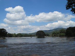 Cauvery Wildlife Sanctuary