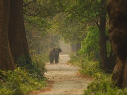 Nalbari