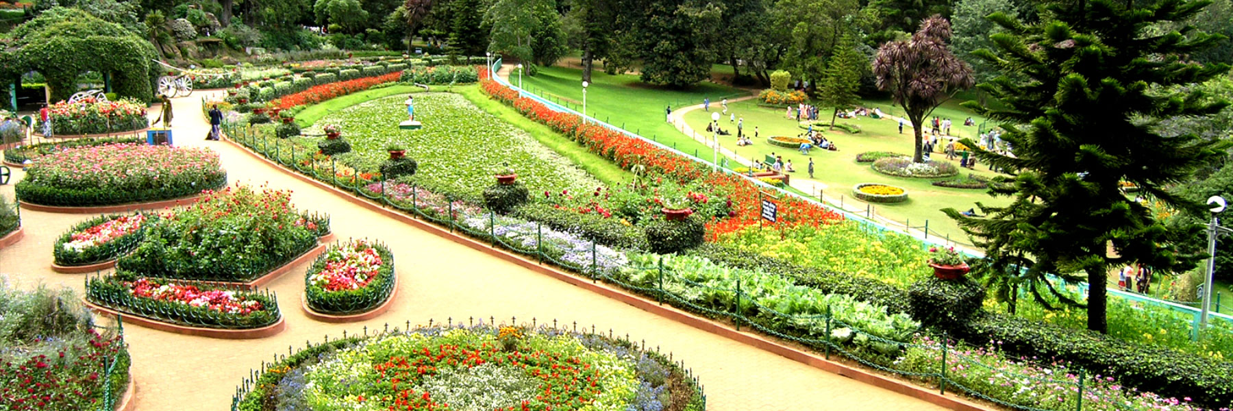 Ooty Rose Garden: A Paradise of Fragrance and Beauty