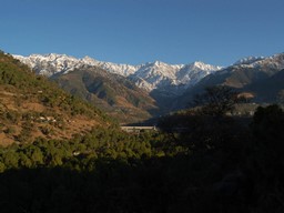 Palampur