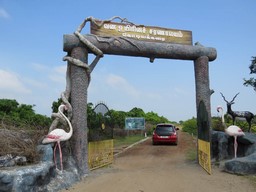 Point Calimere Wildlife and Bird Sanctuary