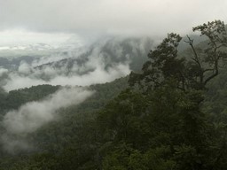 Agumbe